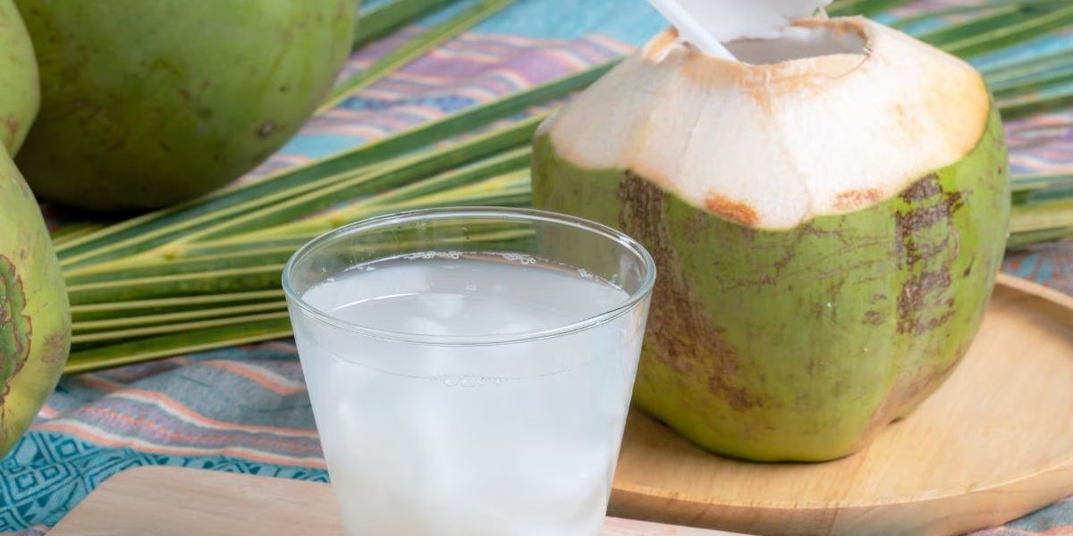 ডাবের শরবত